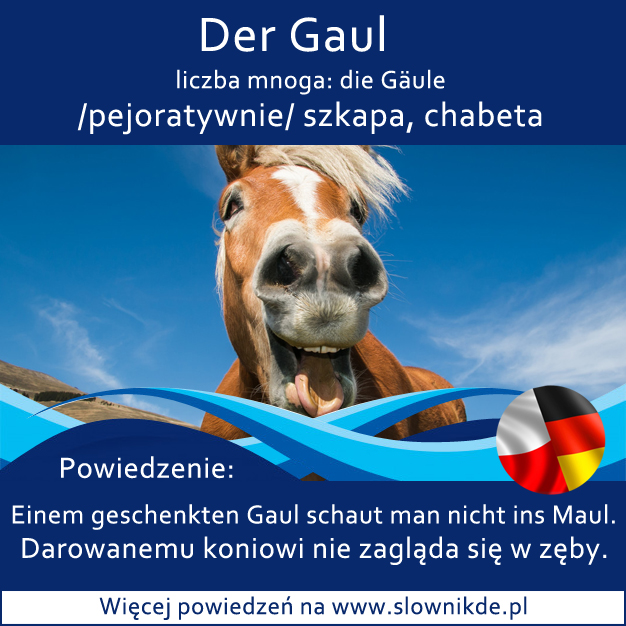 Gaul