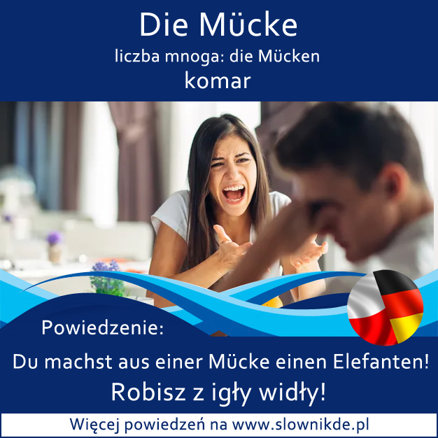 Mücke