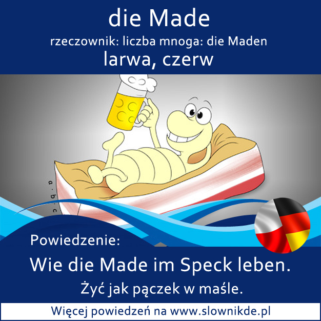 Speck der - słonina, sadło