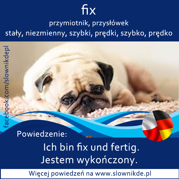 fix - stały, niezmienny, szybki, prędki, szybko