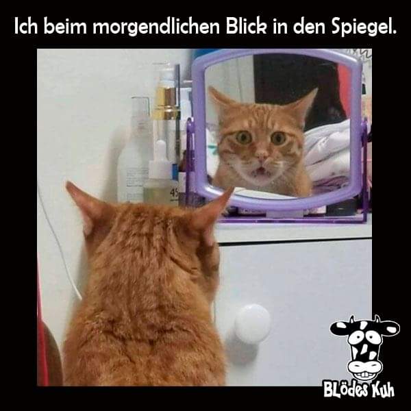 Blick