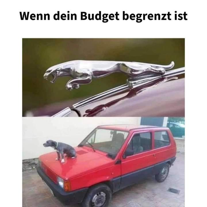 das Budget - budżet