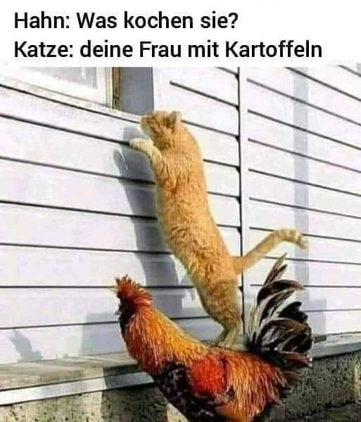 Kartoffel