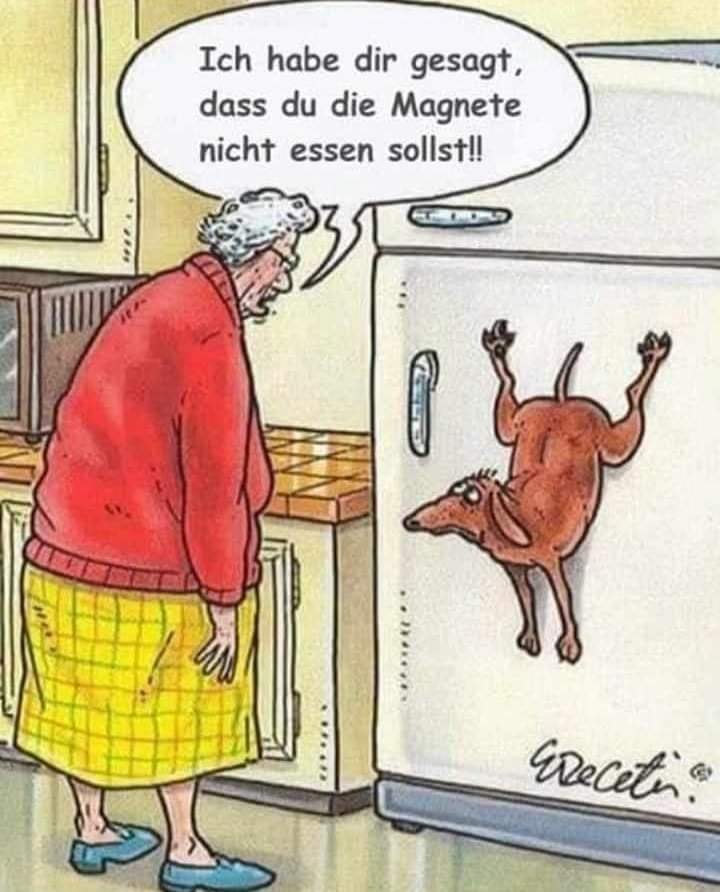 Magnet