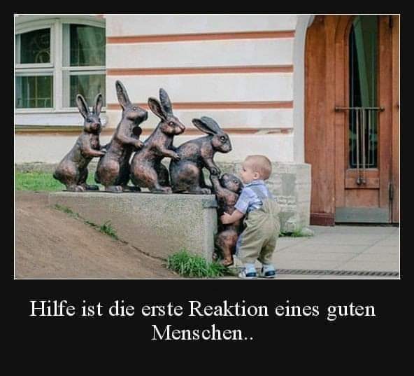 die Reaktion - reakcja