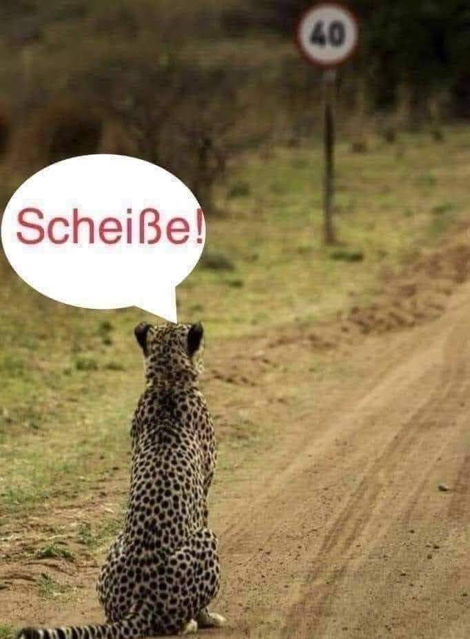 Scheisse