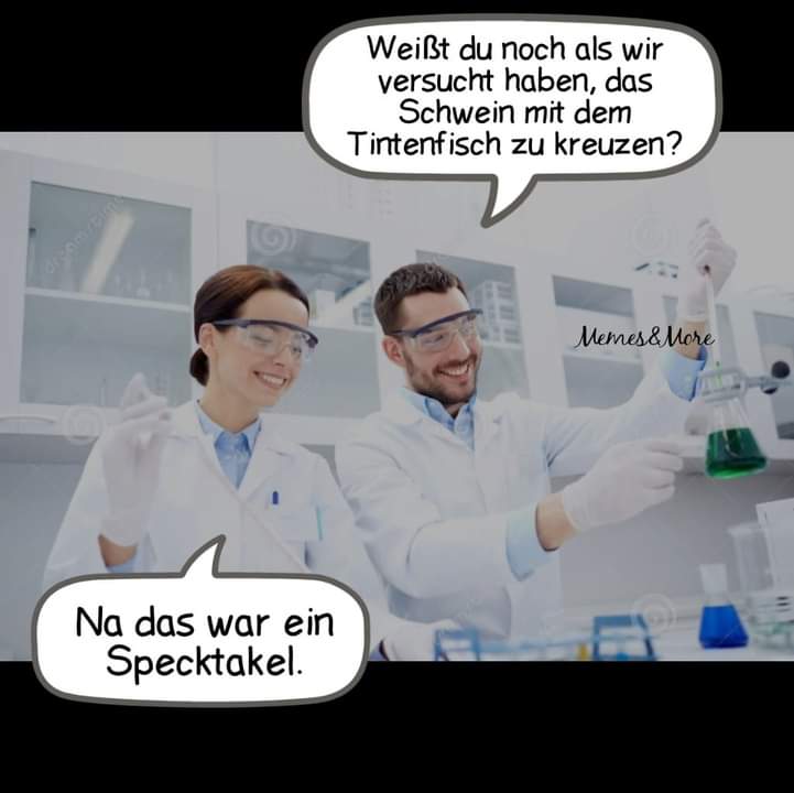 kreuzen