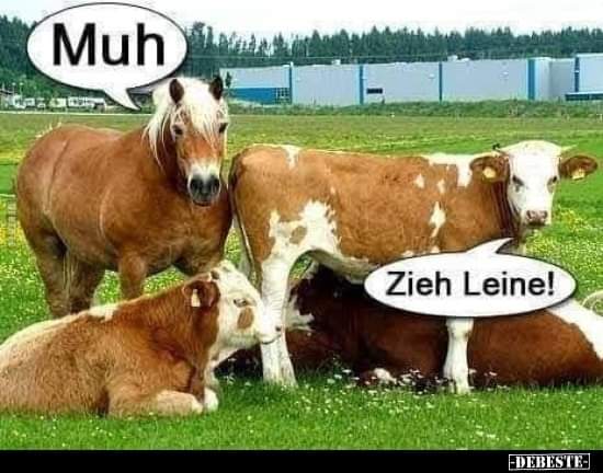 ziehen