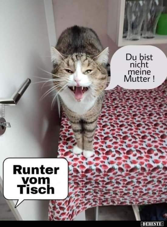 runter - komm runter!  zejdź na dół!