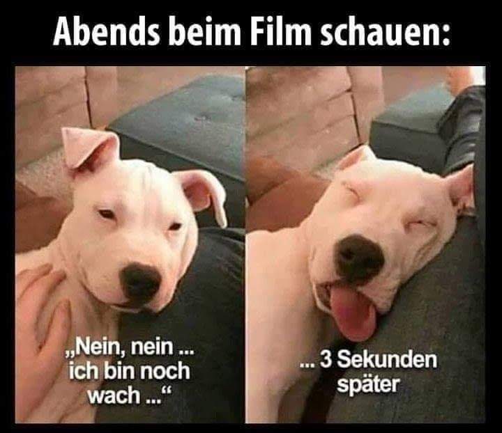 schauen