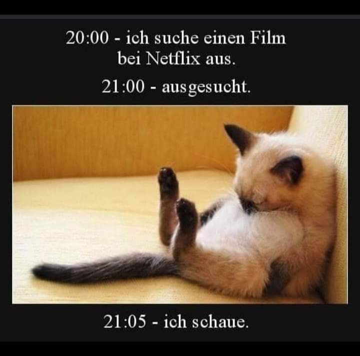 schauen