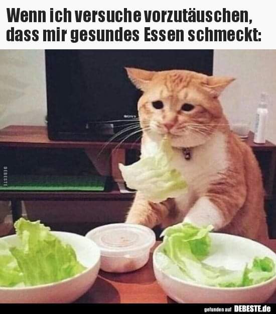 schmecken