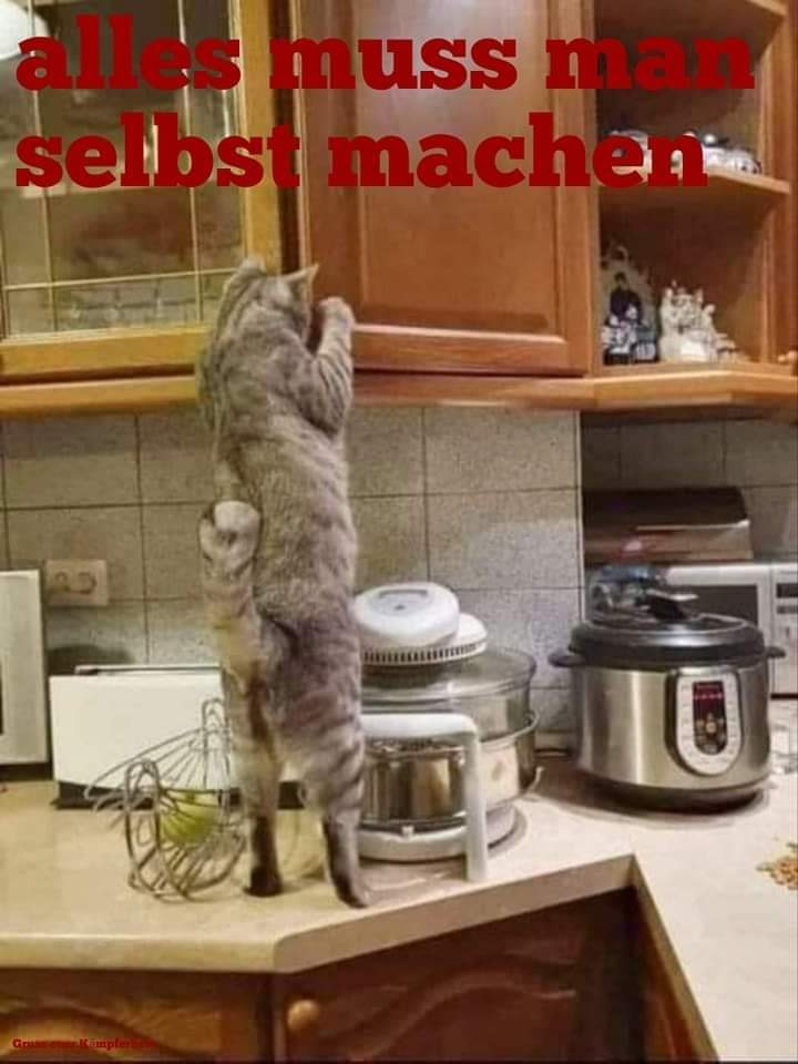 selbst - sam, samemu