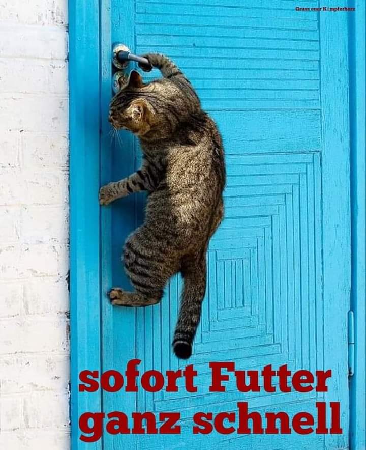 sofort