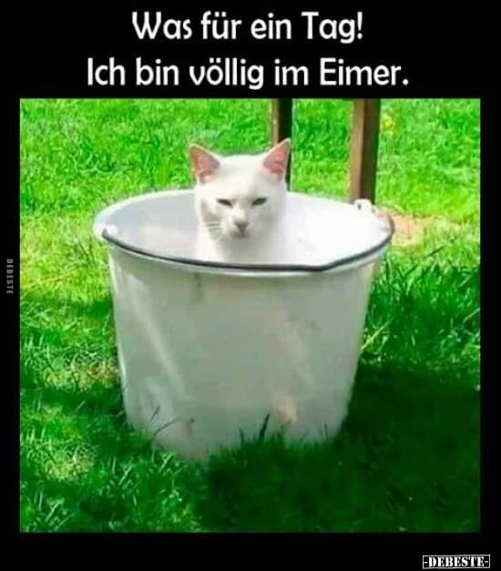 Eimer