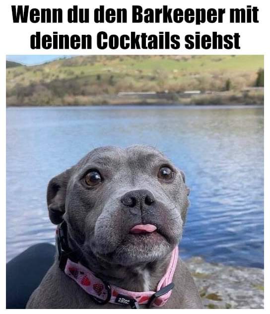 der Cocktail - koktajl