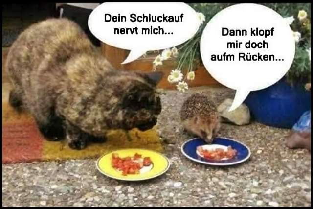 Schluckauf