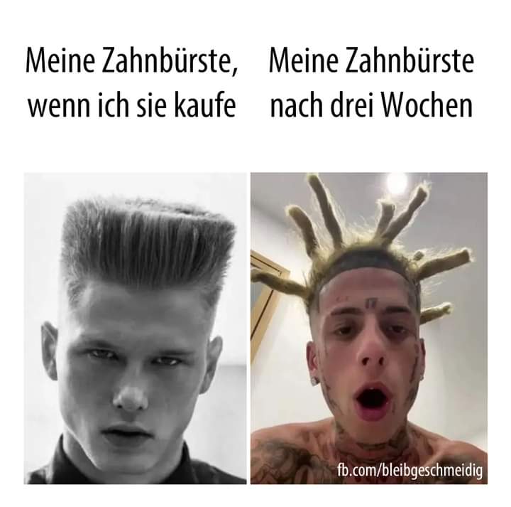 Zahnburste