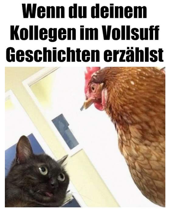 erzahlen