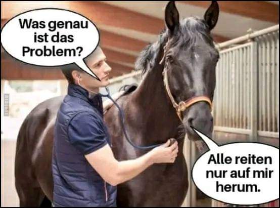 reiten