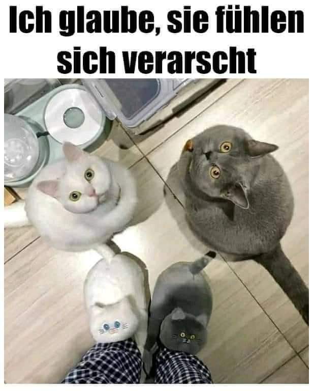 verarschen